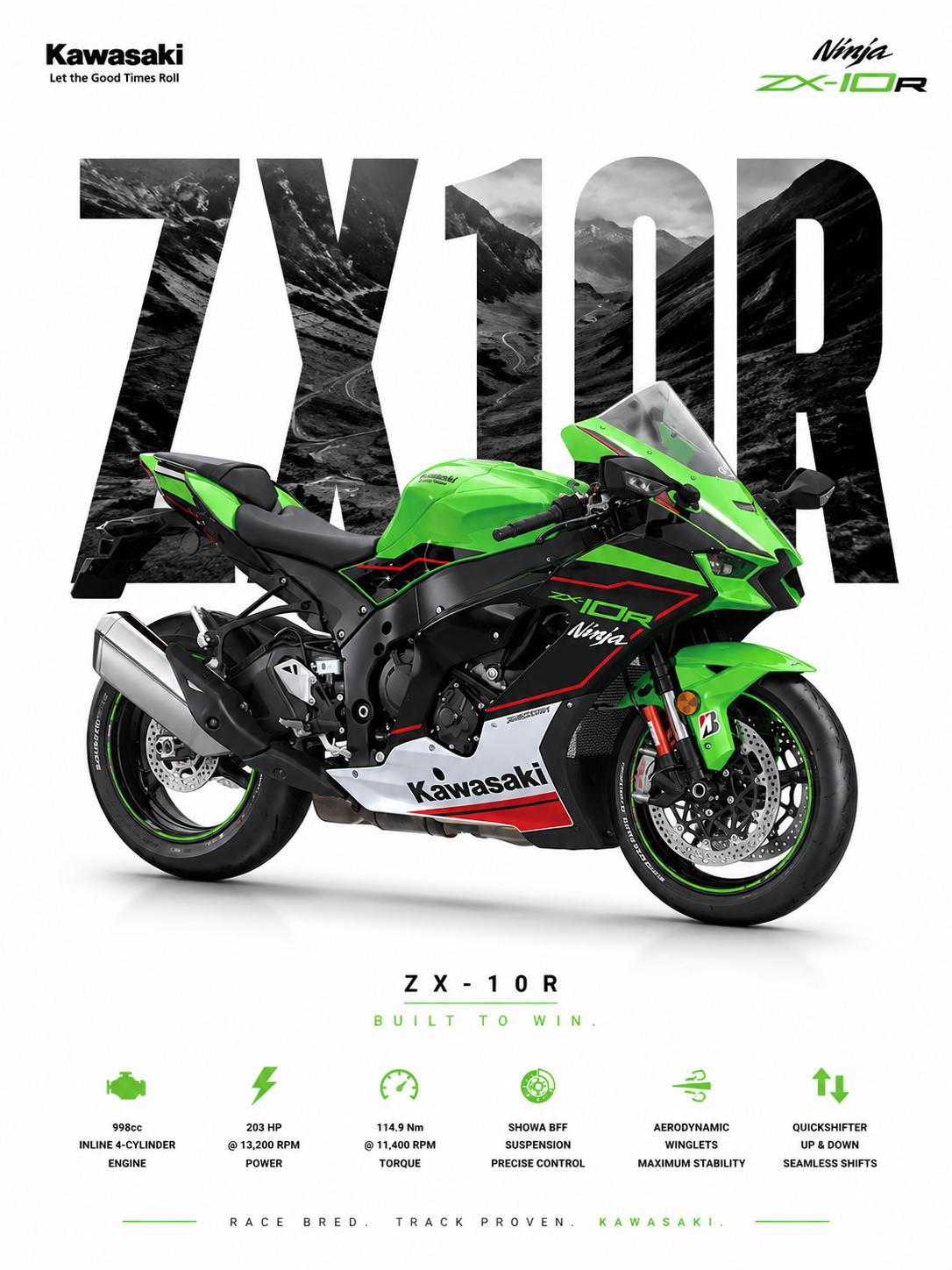 Kawasaki Ninja ZX-10R Poster | Premium Superbike Wall Art